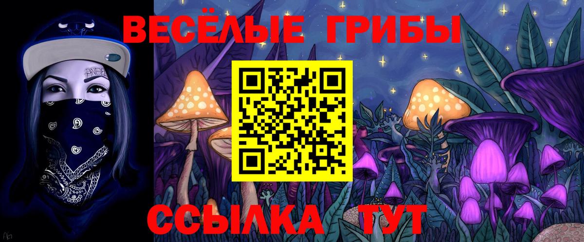 где можно купить   Вход с VPN  Ликино-Дулёво  Псилоцибиновые грибы GOLDEN TEACHER 